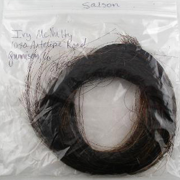 Collecting Horsehair
